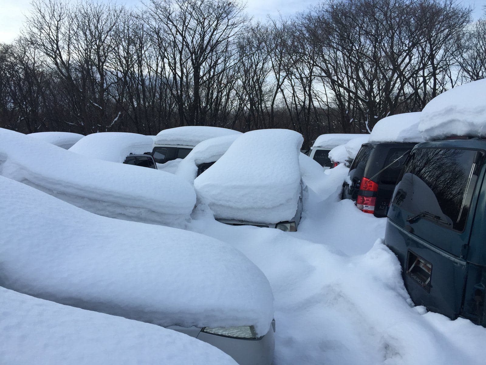 雪に埋もれた車